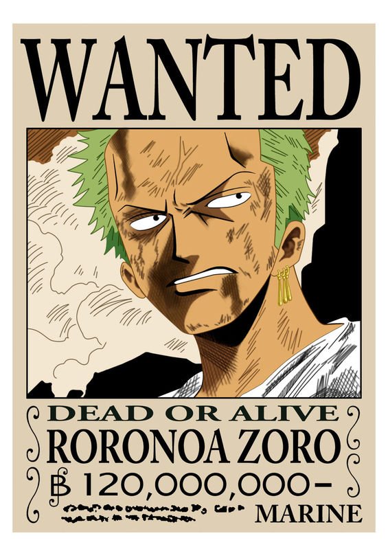 求海贼王通缉令图和罗宾丝袜图片