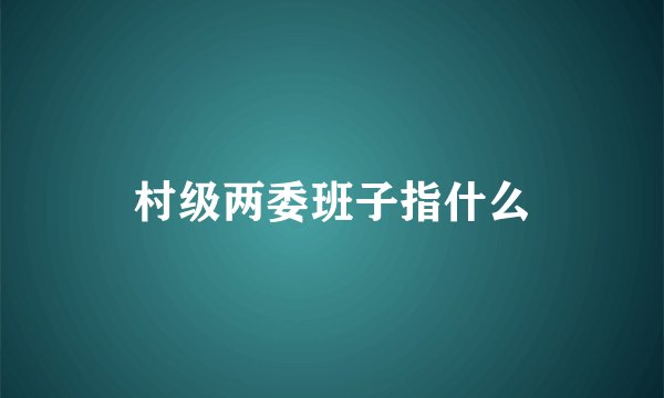 村级两委班子指什么