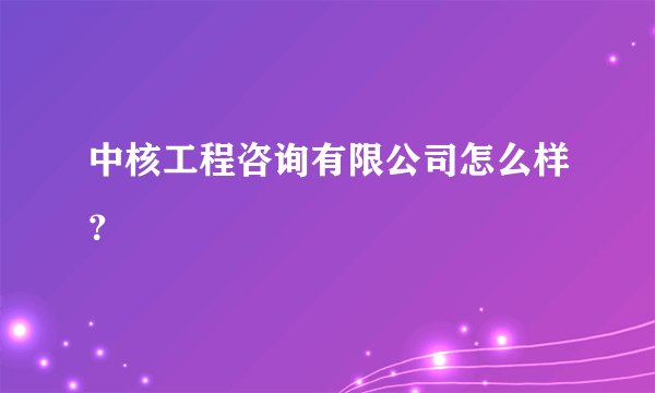 中核工程咨询有限公司怎么样？