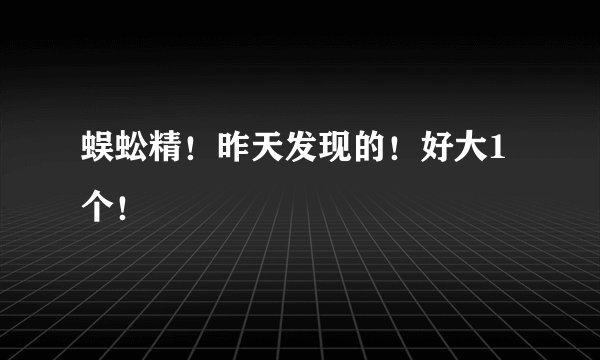 蜈蚣精！昨天发现的！好大1个！