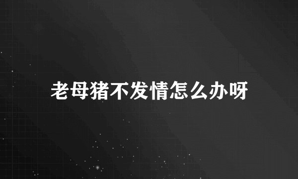 老母猪不发情怎么办呀