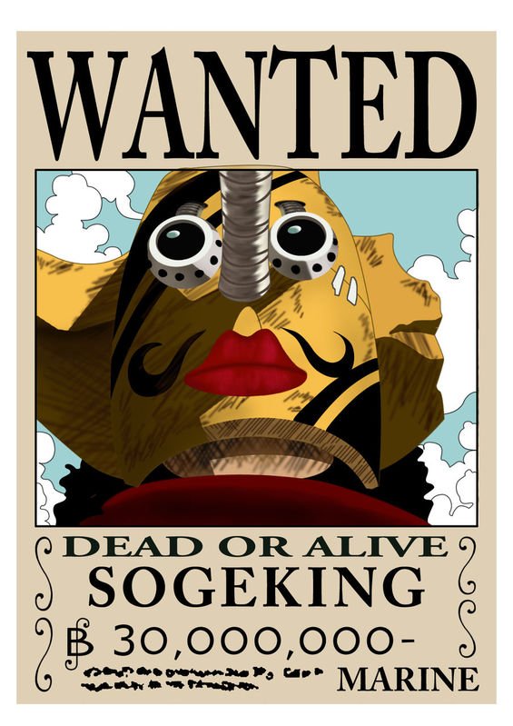 求海贼王通缉令图和罗宾丝袜图片