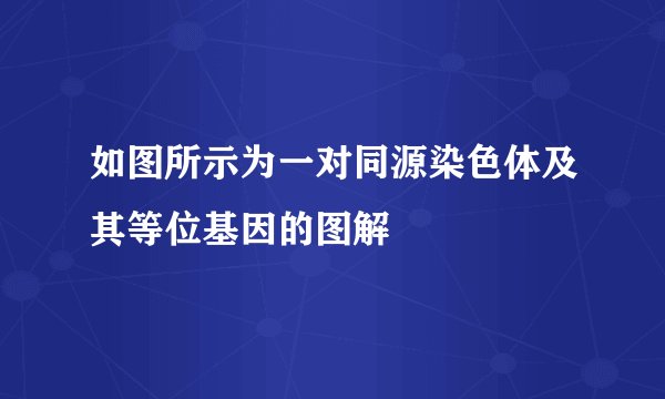 如图所示为一对同源染色体及其等位基因的图解