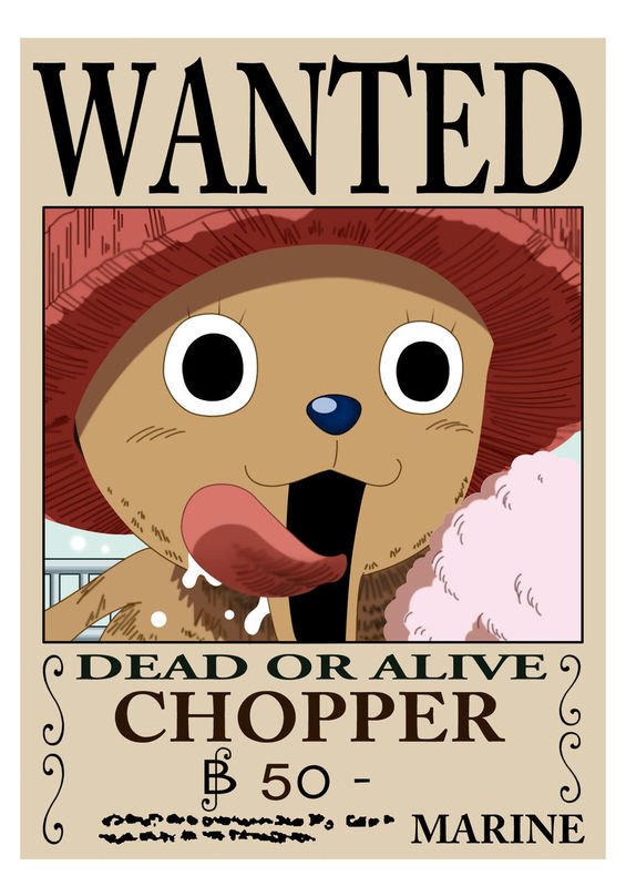 求海贼王通缉令图和罗宾丝袜图片