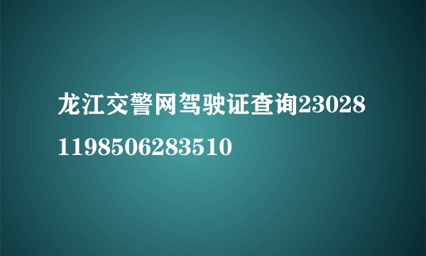 龙江交警网驾驶证查询230281198506283510