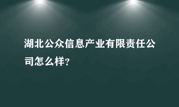 湖北公众信息产业有限责任公司怎么样？