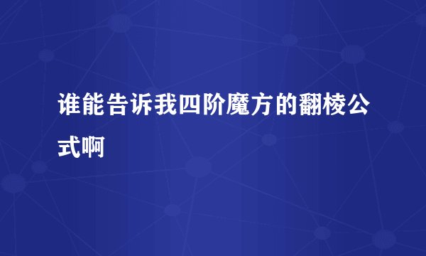 谁能告诉我四阶魔方的翻棱公式啊