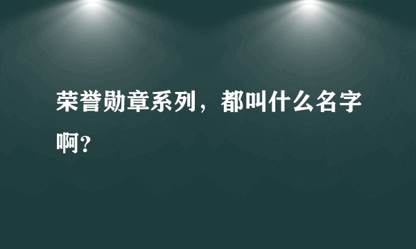 荣誉勋章系列，都叫什么名字啊？