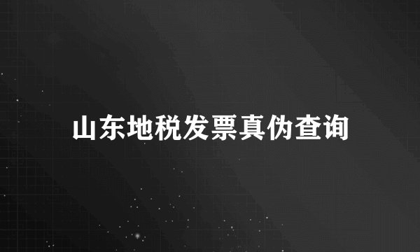 山东地税发票真伪查询