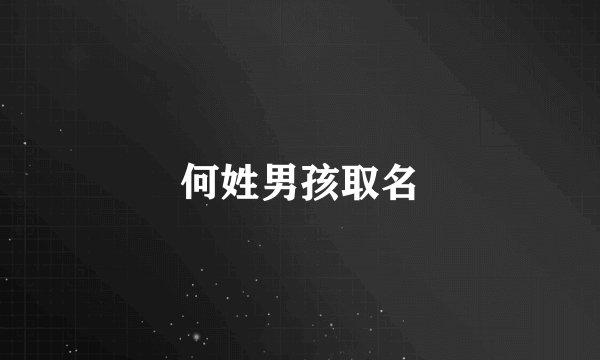 何姓男孩取名