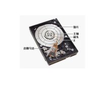 姚记扑克背面认牌图