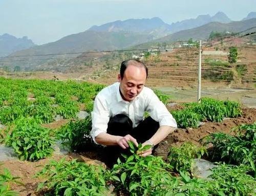 中国已消除绝对贫困，这个成就体现了什么？