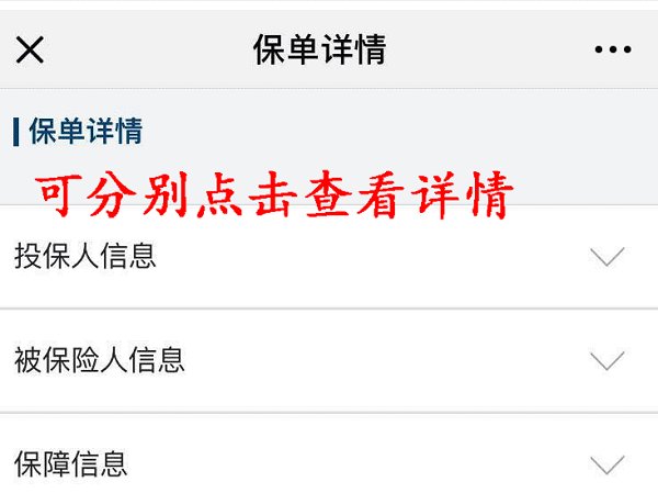 怎么查光大永明人寿公司的保单查询