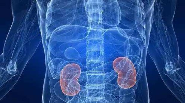 人器官为什么会衰竭