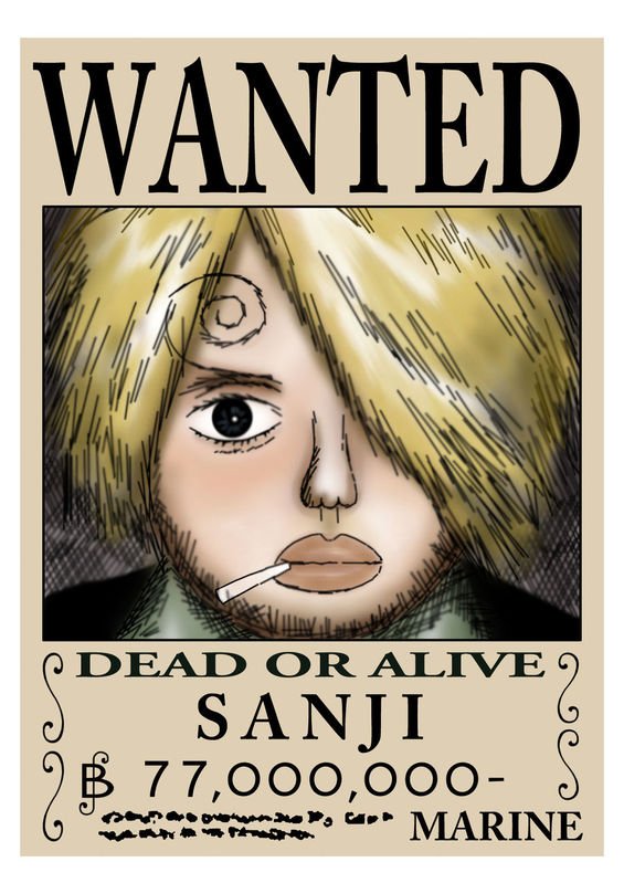 求海贼王通缉令图和罗宾丝袜图片