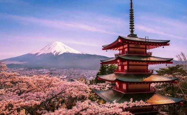 日本的富士山到底是政府所有还是私人所有？