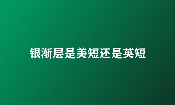 银渐层是美短还是英短