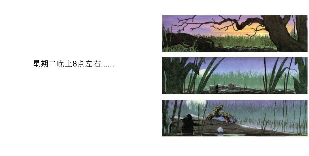 疯狂星期二绘本故事从头到尾全图