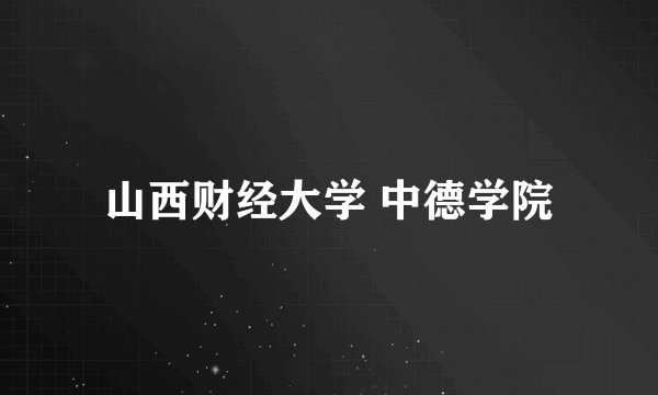 山西财经大学 中德学院