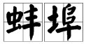 “蚌埠”的读音是什么？