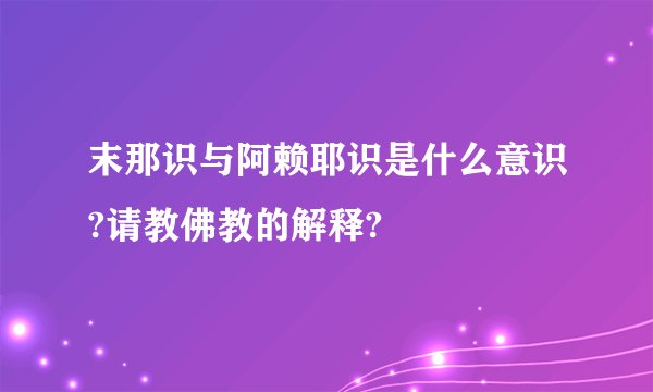 末那识与阿赖耶识是什么意识?请教佛教的解释?