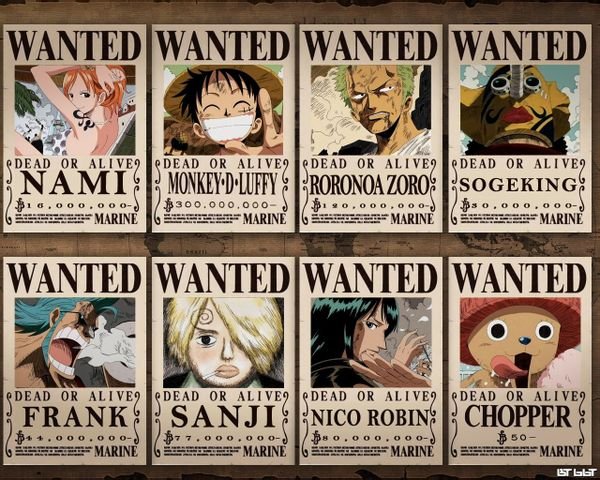 求海贼王通缉令图和罗宾丝袜图片