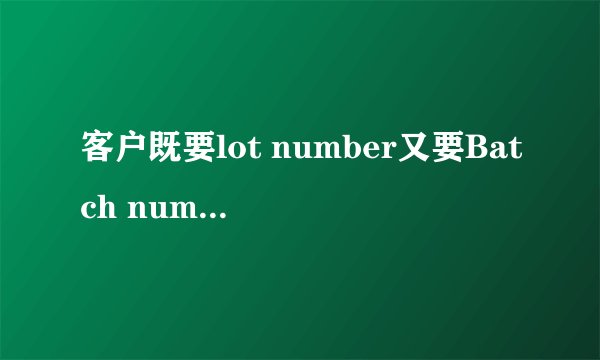 客户既要lot number又要Batch number ，这两个不是一个意思么？