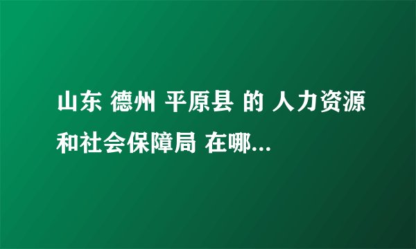 山东 德州 平原县 的 人力资源和社会保障局 在哪啊。。。。