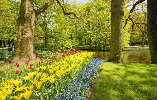 形容春天的词语