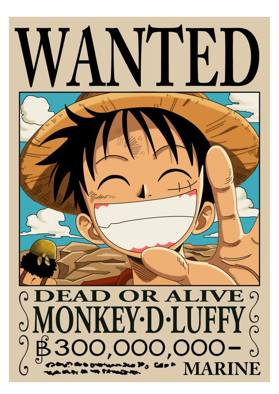 求海贼王通缉令图和罗宾丝袜图片