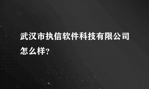 武汉市执信软件科技有限公司怎么样？