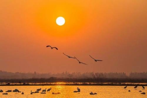 滕王阁序中的落霞与孤鹜齐飞，秋水共长天一色是什么意思