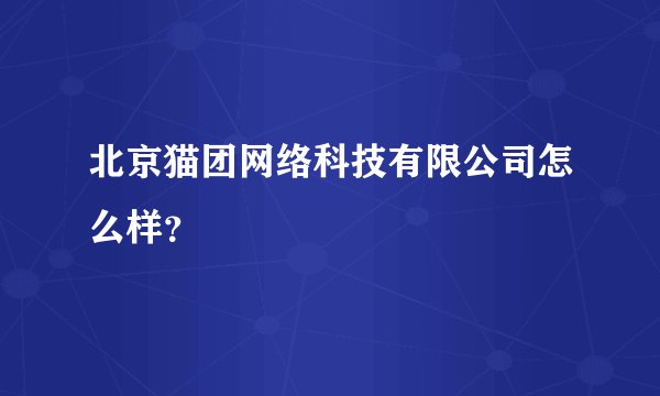 北京猫团网络科技有限公司怎么样？