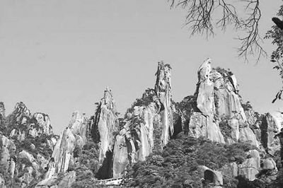 老舍林海的主要内容