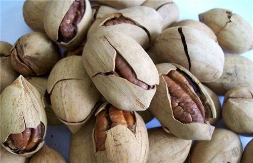 新疆干果有哪些