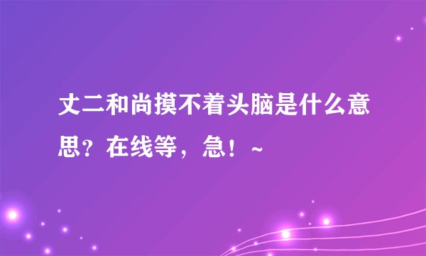 丈二和尚摸不着头脑是什么意思？在线等，急！~