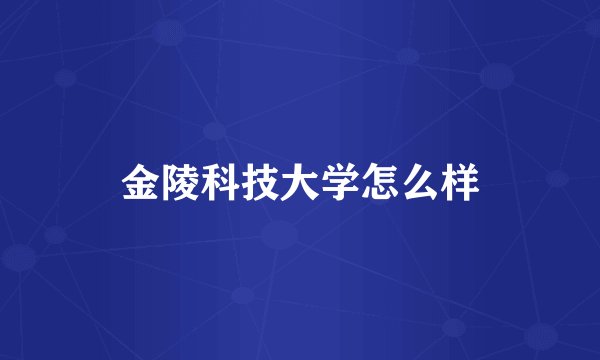 金陵科技大学怎么样