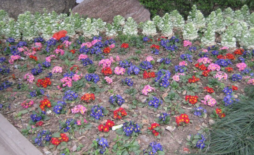 武汉风景名胜简介