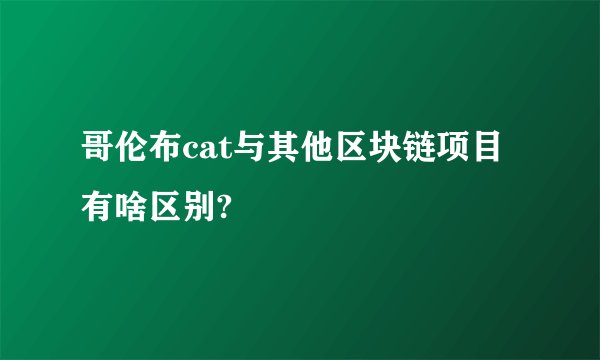 哥伦布cat与其他区块链项目有啥区别?