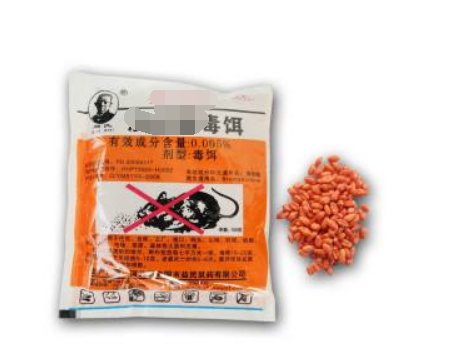 家中有老鼠怎么办？
