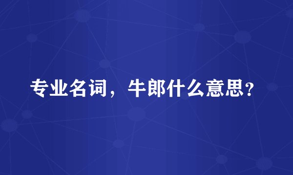 专业名词，牛郎什么意思？