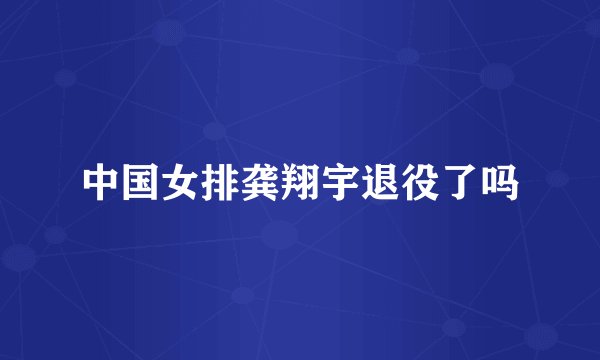 中国女排龚翔宇退役了吗