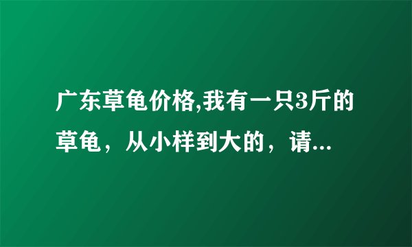 广东草龟价格,我有一只3斤的草龟，从小样到大的，请问市场价