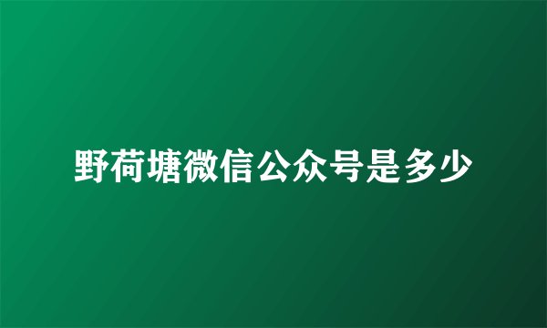 野荷塘微信公众号是多少