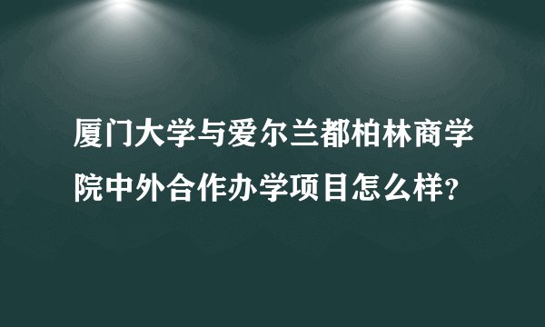 厦门大学与爱尔兰都柏林商学院中外合作办学项目怎么样？