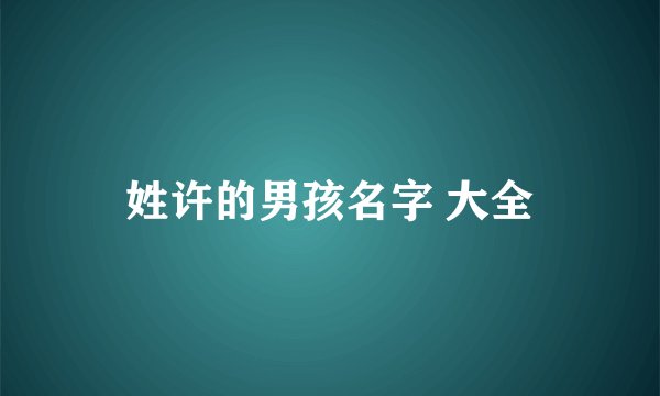 姓许的男孩名字 大全