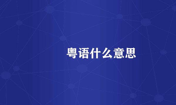 甴曱 粤语什么意思