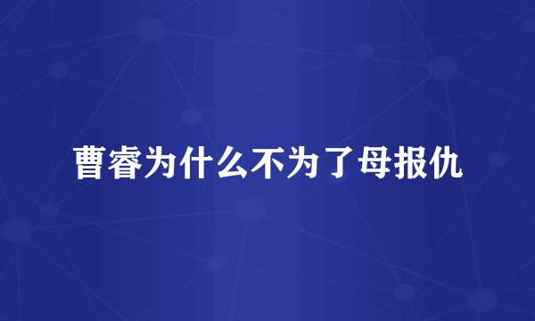 曹睿为什么不为了母报仇