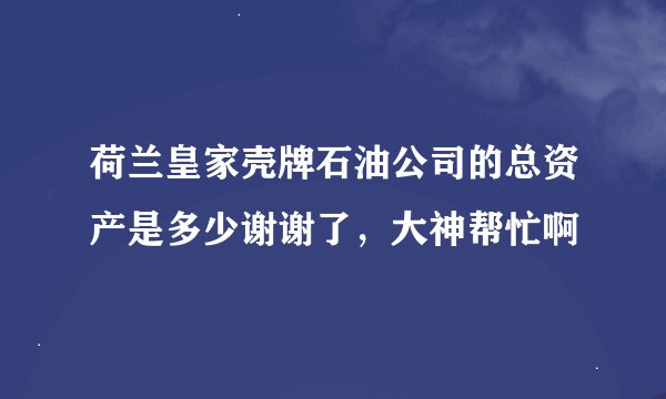 荷兰皇家壳牌石油公司的总资产是多少谢谢了，大神帮忙啊