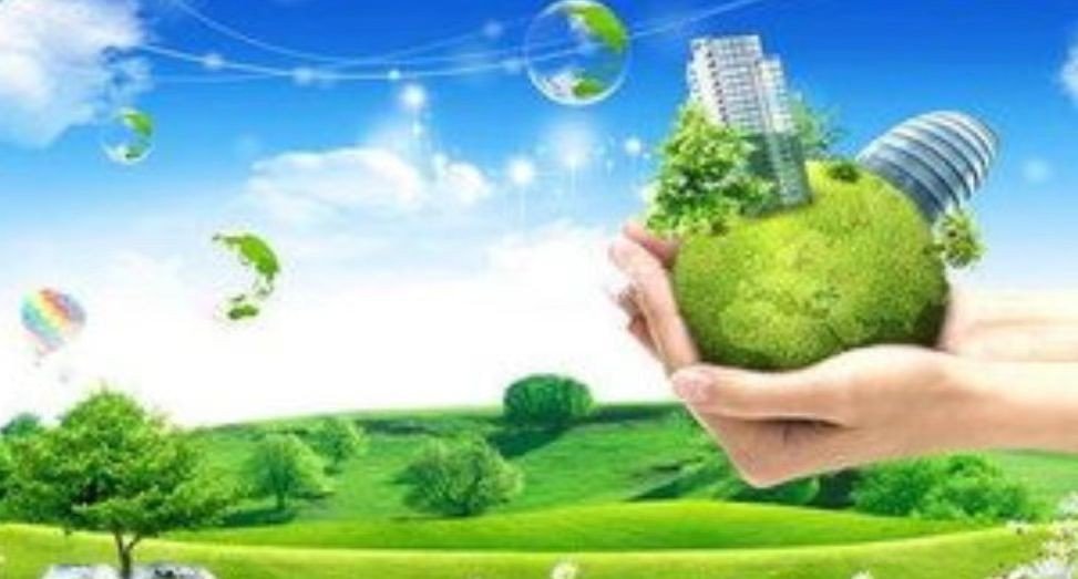 我们到底该如何保护环境？